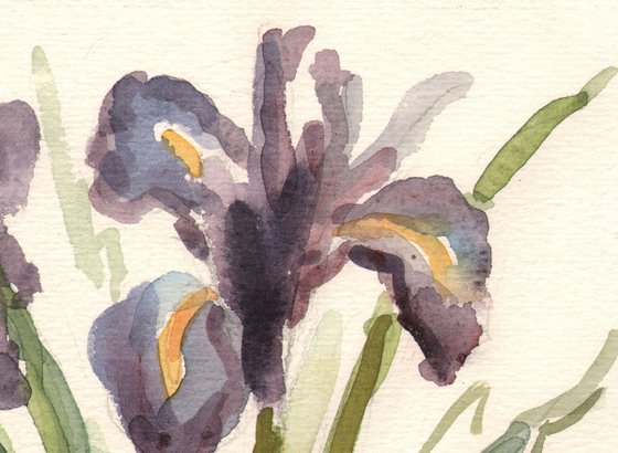 Spring awakening
