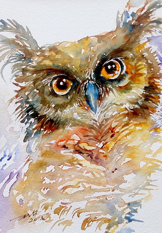 Tufted Ear Owl