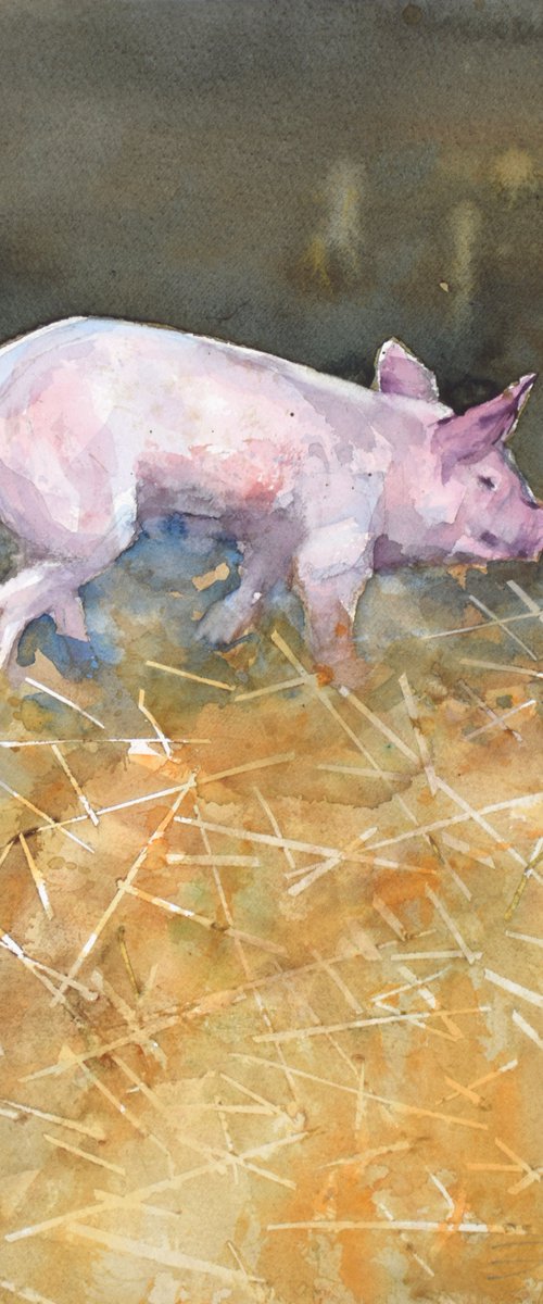 Piggy 5 by Goran Žigolić Watercolors