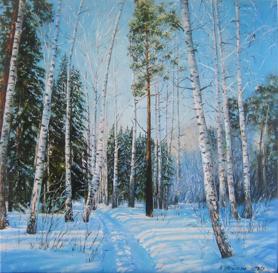 Winter Woodland Scenery