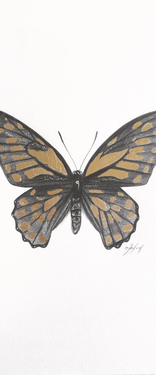 Gold leaf butterfly by Amelia Taylor