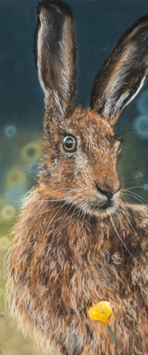 Matilda the Brown Hare by Candice Rouse
