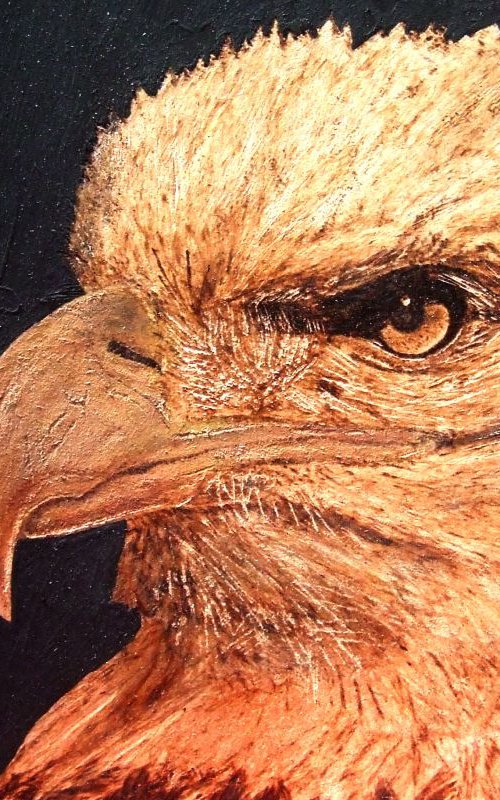 Eagle by MILIS Pyrography