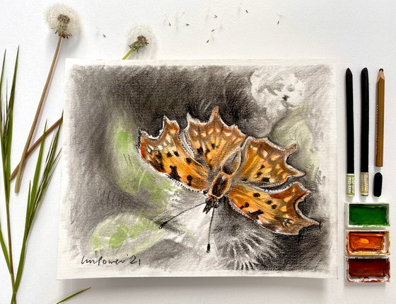 Charcoal Comma Butterfly
