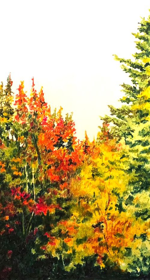 Fall Studio by David Kofton
