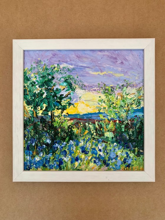 Texas Bluebonnets