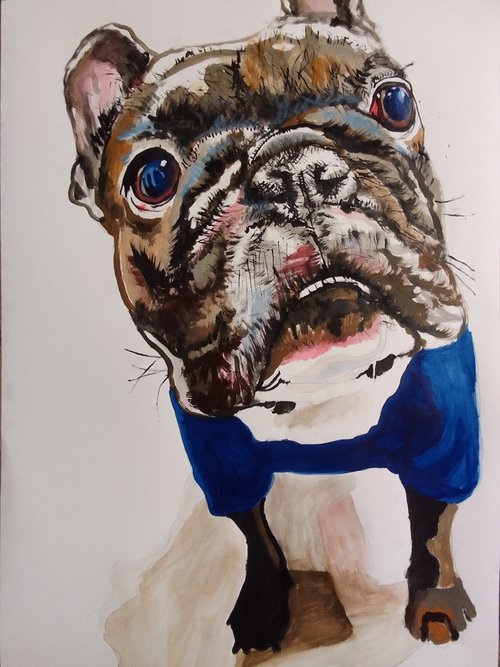 French Bulldog by Soso Kumsiashvili