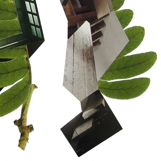 Leaf 5