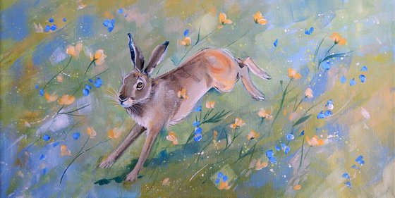 Hare in the Meadow