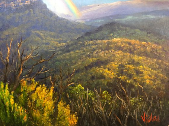 After the storm - Blue Mountains, NSW