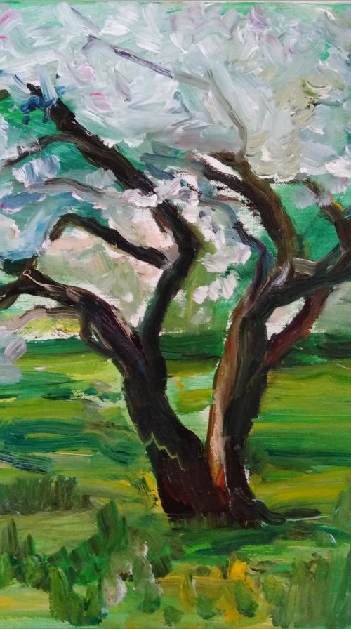 Blooming Apple-Tree of our datings by Oxana Raduga