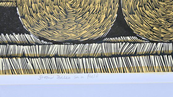 Straw Bales in field
