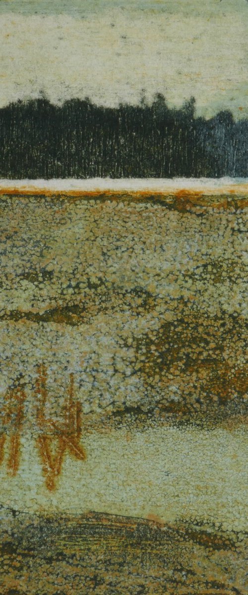 Salt Marsh by Sue Roe