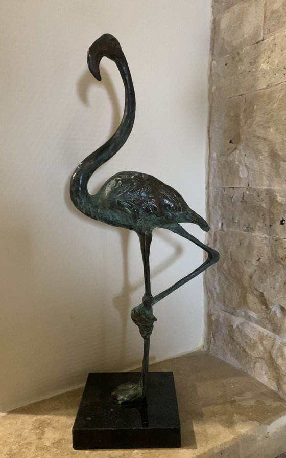 Flamingo