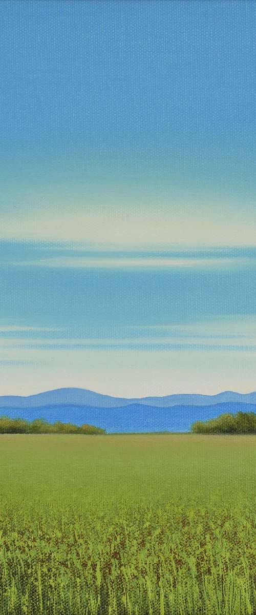 Summer Grass - Blue Sky Landscape by Suzanne Vaughan