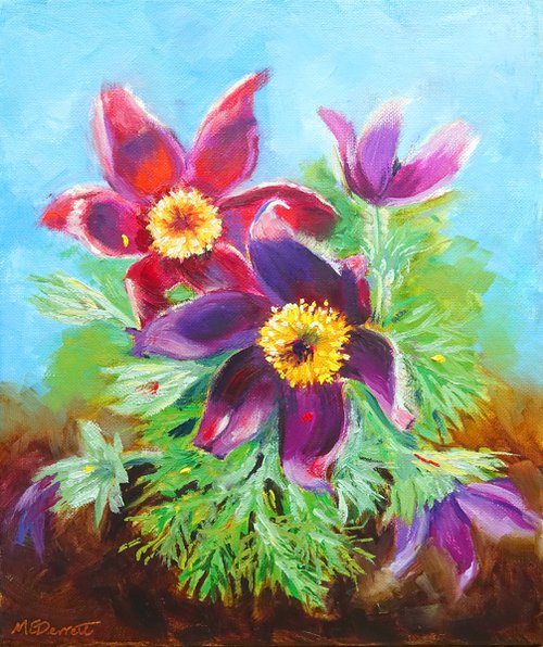 Pasque Flowers by Marion Derrett