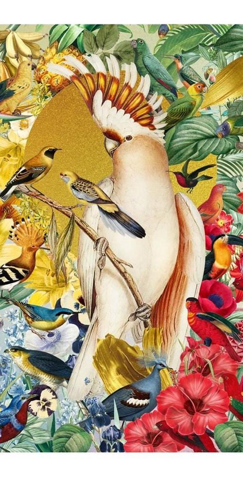 Paradise of Birds by Emilie DeBlack