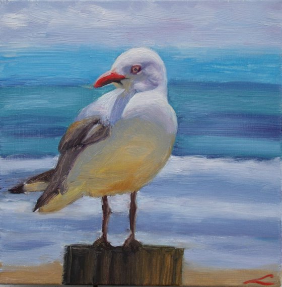 Sea gull