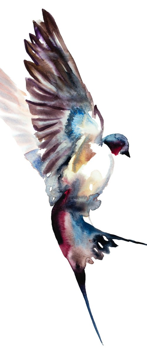 Swallow No. 41 by Elizabeth Becker