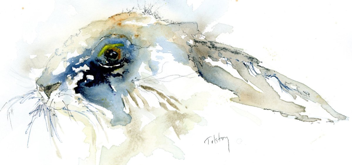 Impressionistic Animal Watercolour By Alex Tolstoy, 14 X 7, Head Of The Hare, Original Artwork