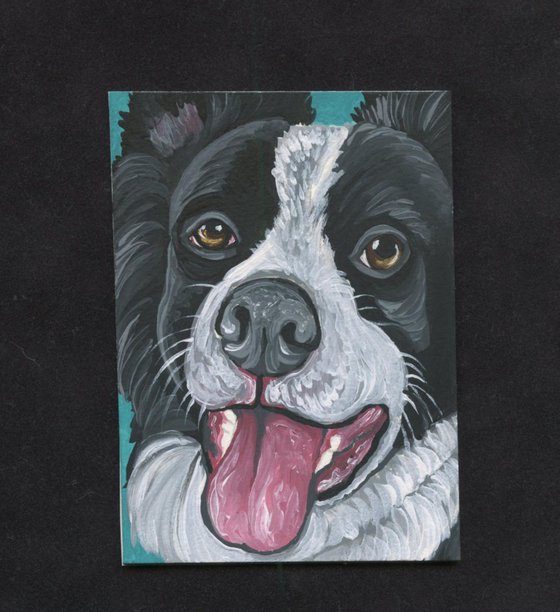 ACEO ATC Original Painting Border Collie Dog Art-Carla Smale