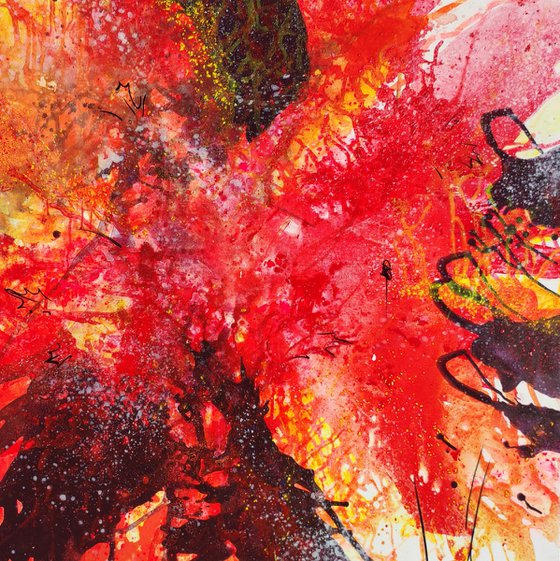 Red Maples of Paris