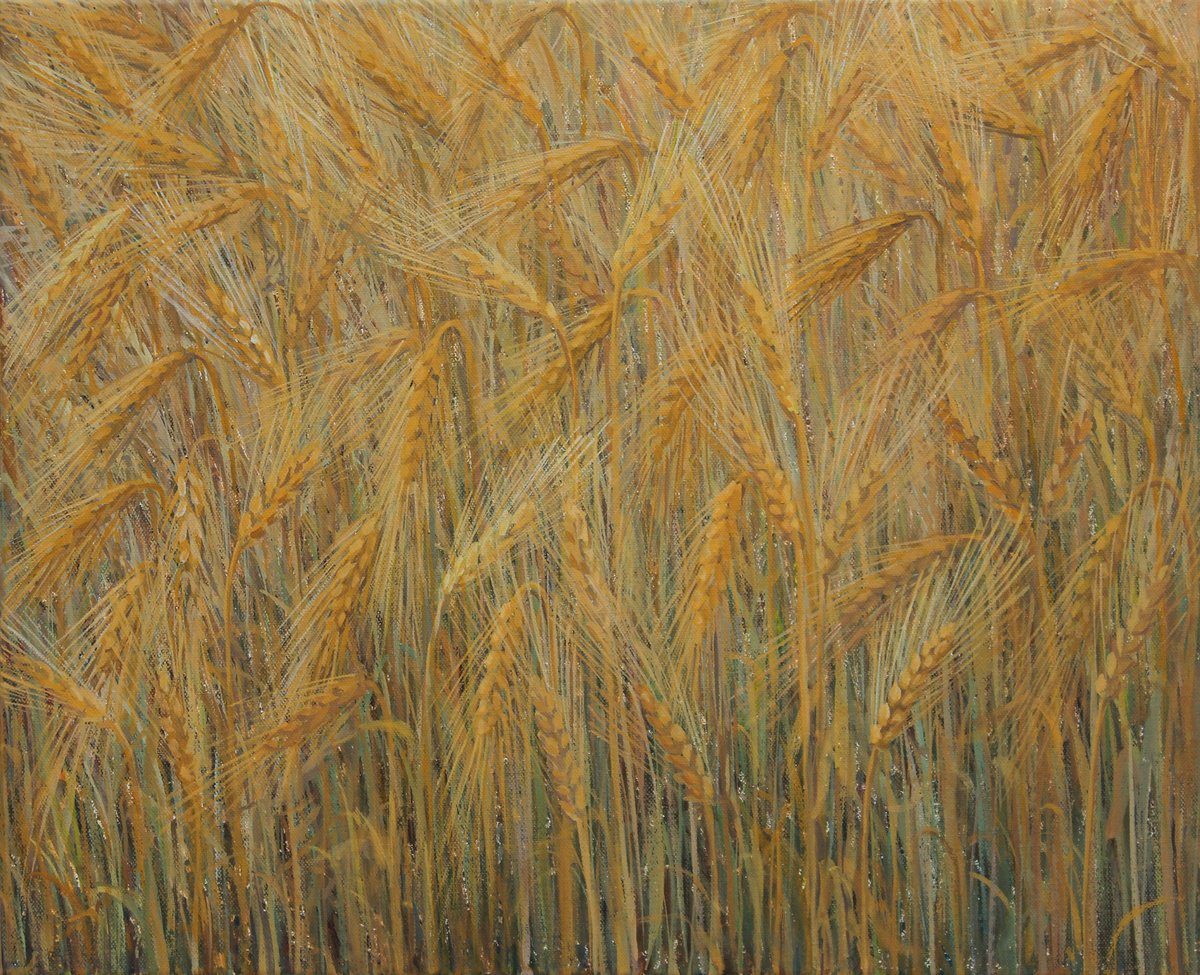 Cereals 2022 , acrylic on canvas, 45 x 55 cm by Alenka Koderman