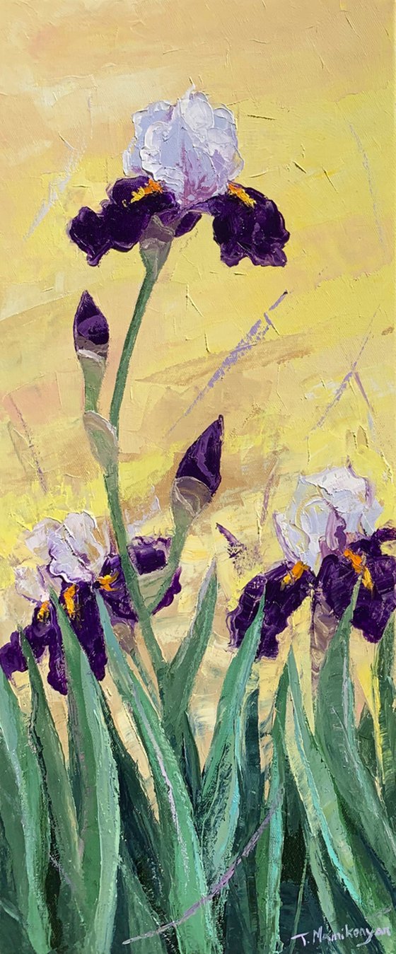 Irises at Sunrise A2,A1,A3   80x140cm