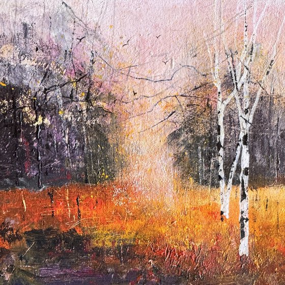 Colours of Autumn, Silver Birches