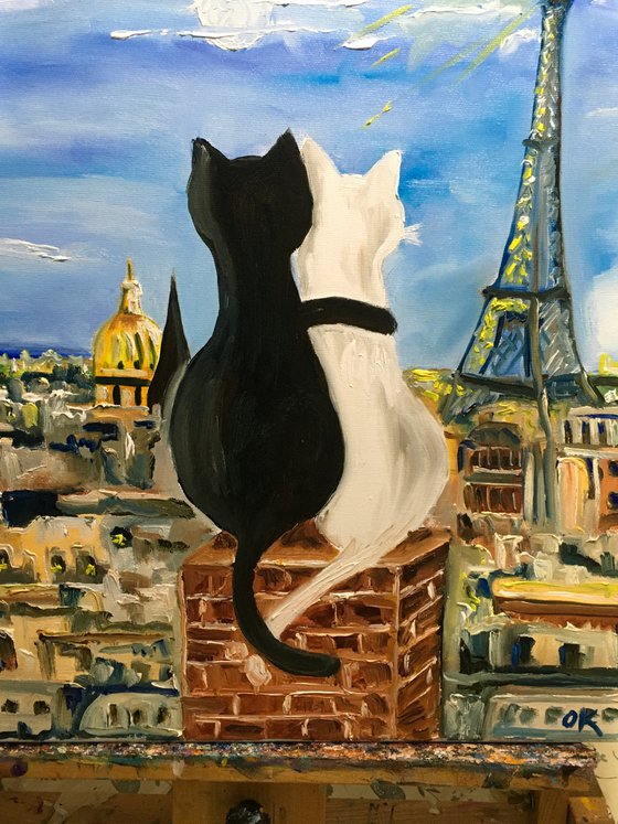 Cats in Paris. Parisian roofs , romantic evening.