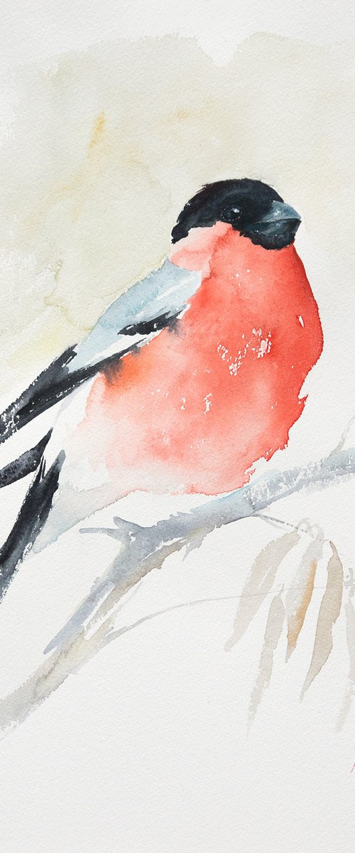 Bullfinch by Andrzej Rabiega