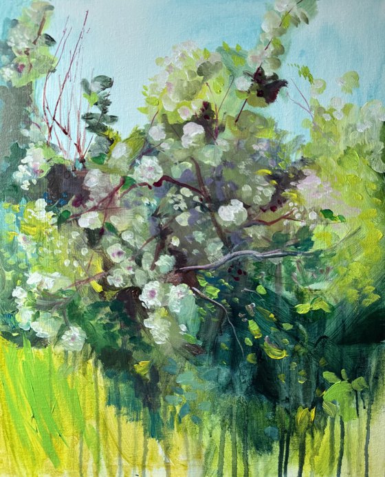 Apple orchard 6