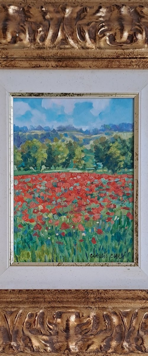 Fields of poppies by Claudio Ciardi