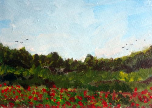 Field of Poppies by katy hawk