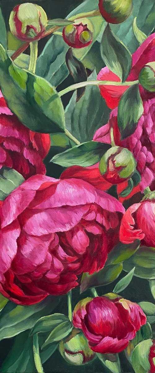 Hushed Pink Symphony by Anna Reznikova