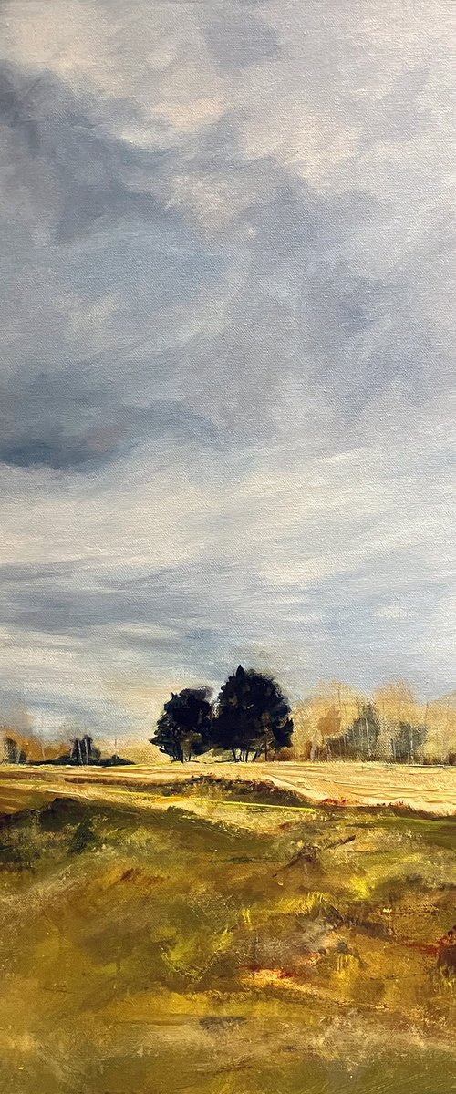 5th tee by mark skirving