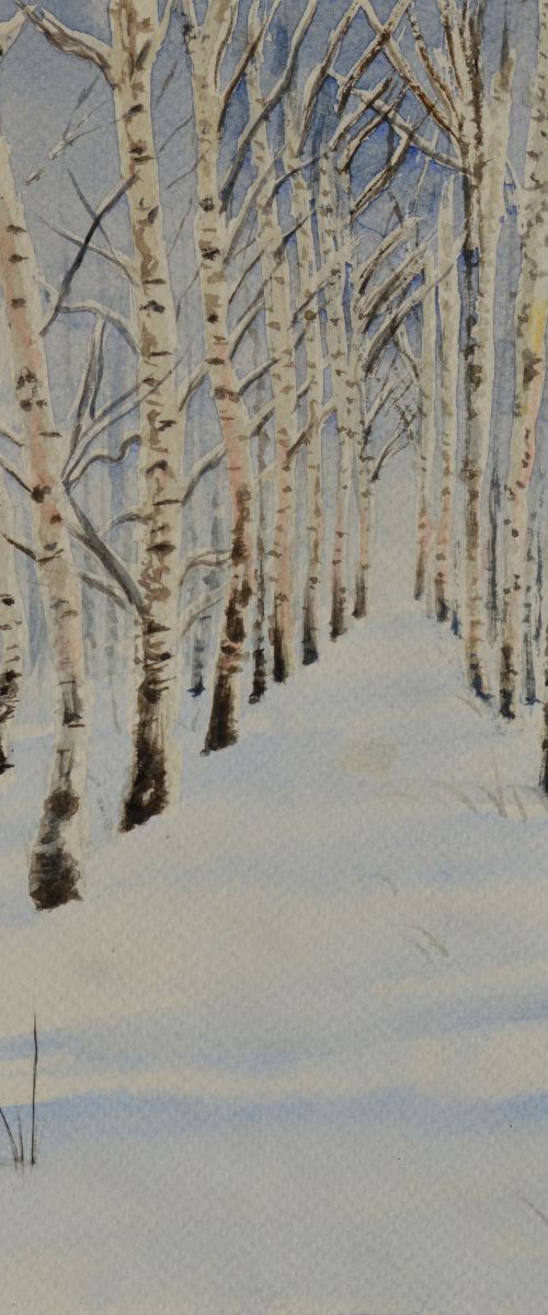 Birches in snow by Neha Soni