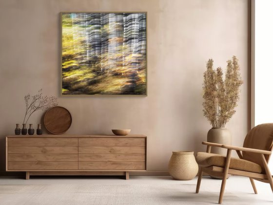 Birches (studio 9)