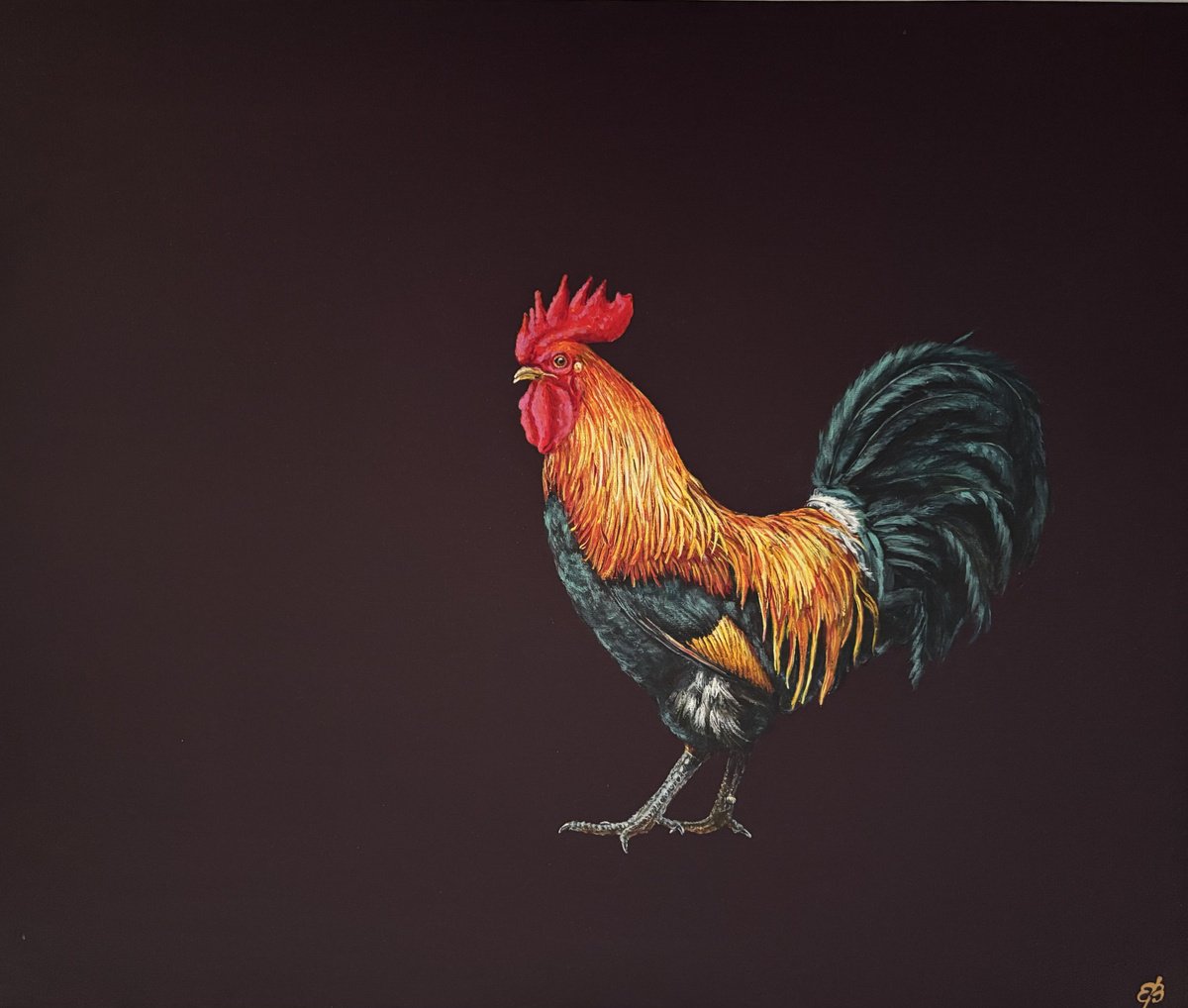Lonely Cock By Lena Smirnova, 24 X 20, Artwork For Sale On Artfinder