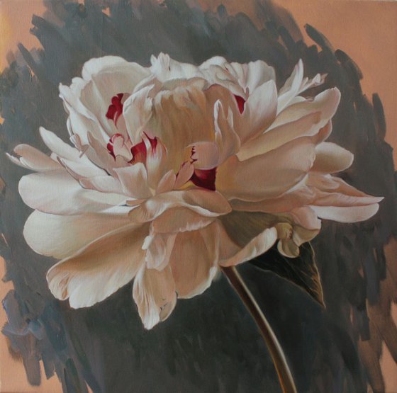 white peony on a gray-blue background