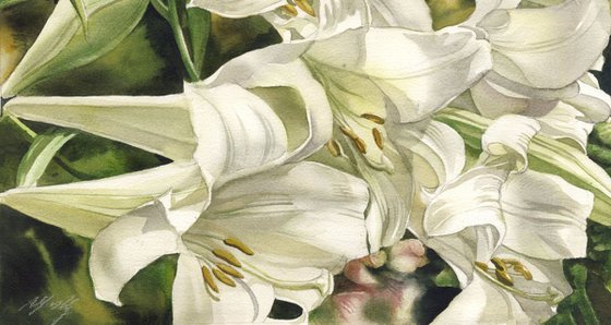 Easter lilies