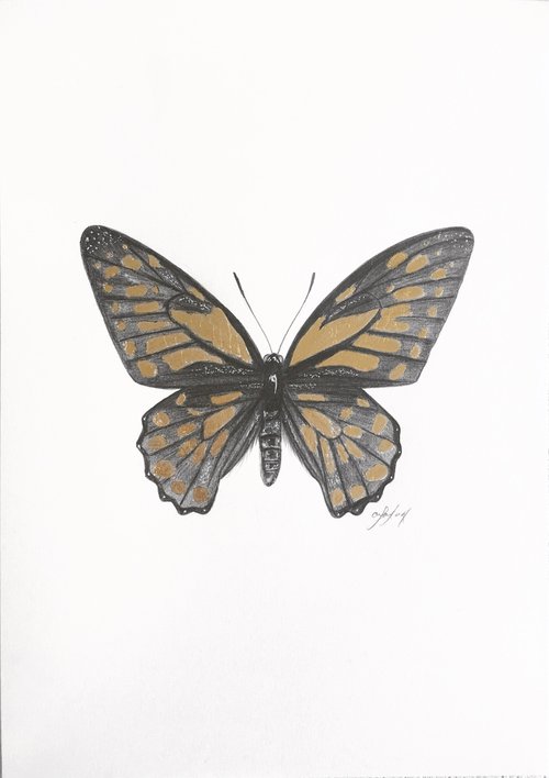 Gold leaf butterfly by Amelia Taylor