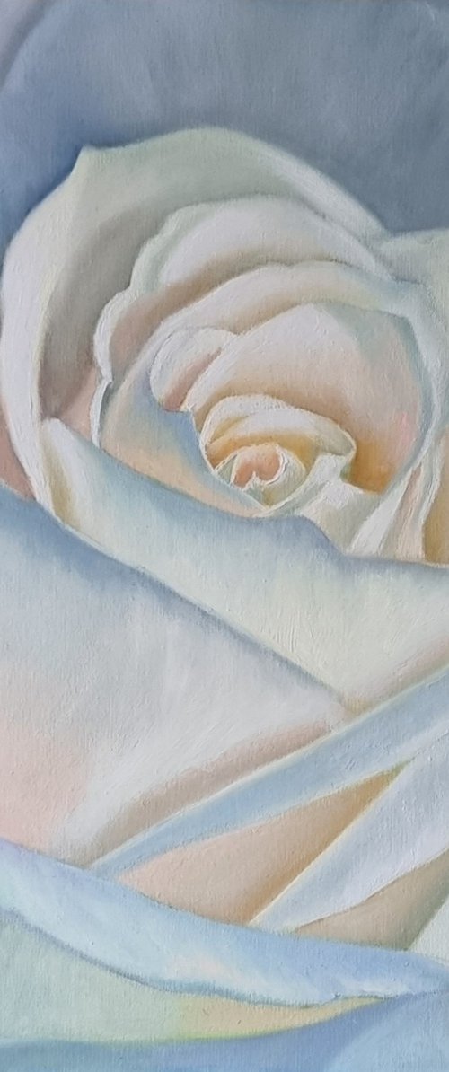 "Creme brulee."  rose flower  liGHt original painting  GIFT (2021) by Anna Bessonova (Kotelnik)