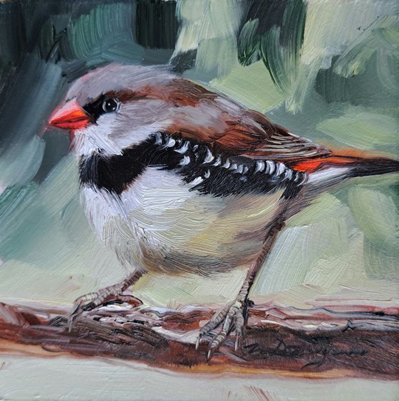Birding