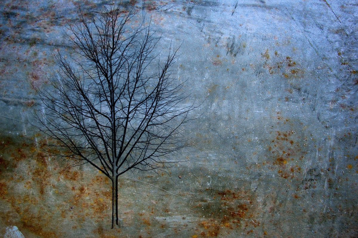 Illustrative Landscape Photograph By Srdjan Jevtic, 39 X 26", One Tree, One Soul, Original Artwork