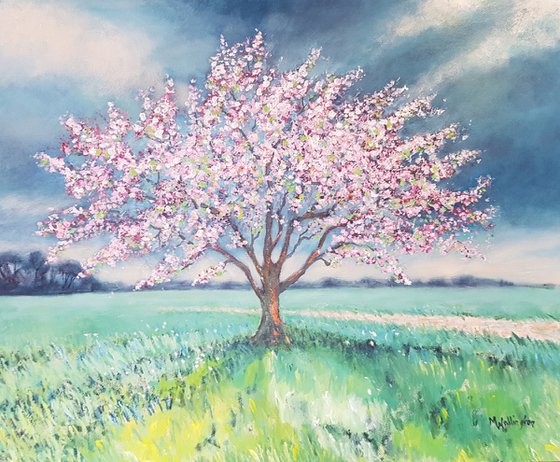 Spring Blossom - 'Hope Springs Eternal'