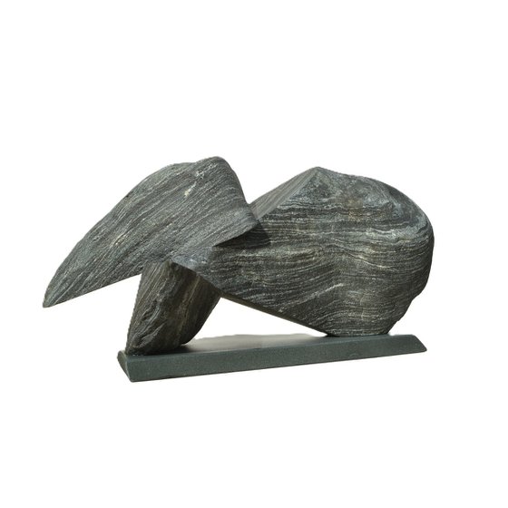 "Particular Insight"