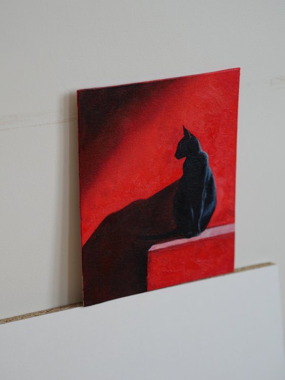 Black Cat on Red