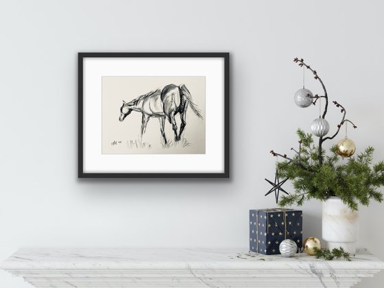 Charcoal: Sketch of Horse