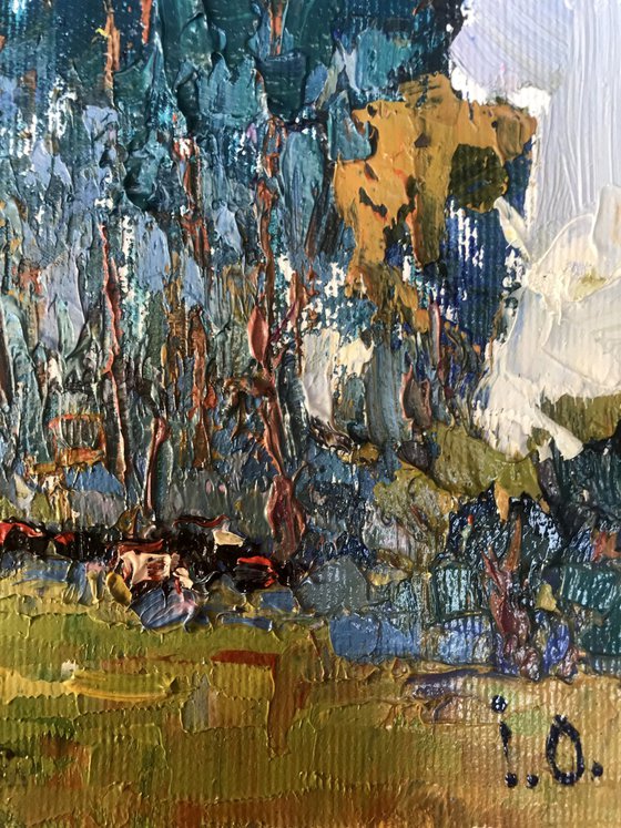 In the Shadow of Sedge